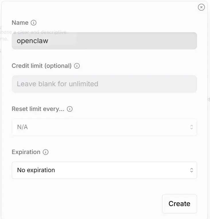 Cara set up API Key Openrouter
